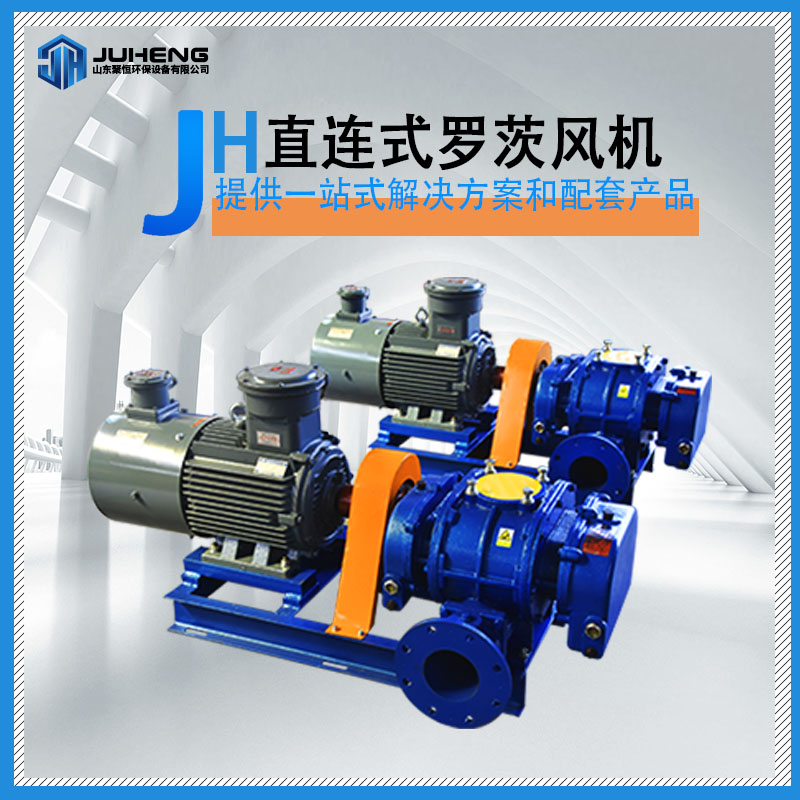 直連羅茨風(fēng)機(jī)