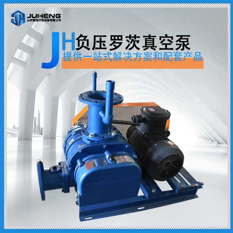 負(fù)壓羅茨真空泵