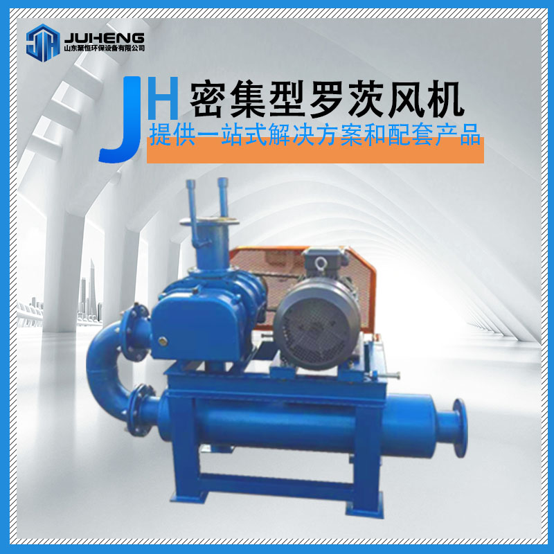 密集型羅茨真空泵