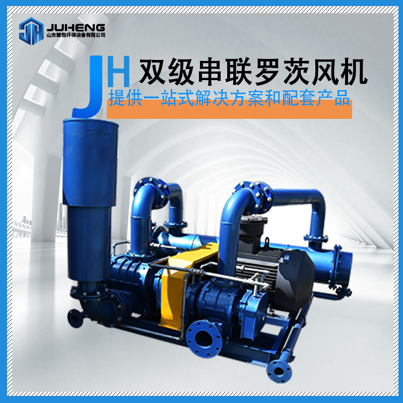 雙級(jí)串聯(lián)羅茨風(fēng)機(jī)